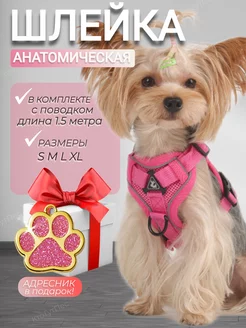 Шлейка для собак и кошек КтоТутПёс 165649015 купить за 478 ₽ в интернет-магазине Wildberries