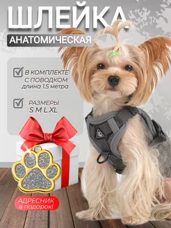 Шлейка для собак и кошек КтоТутПёс 165649016 купить за 492 ₽ в интернет-магазине Wildberries