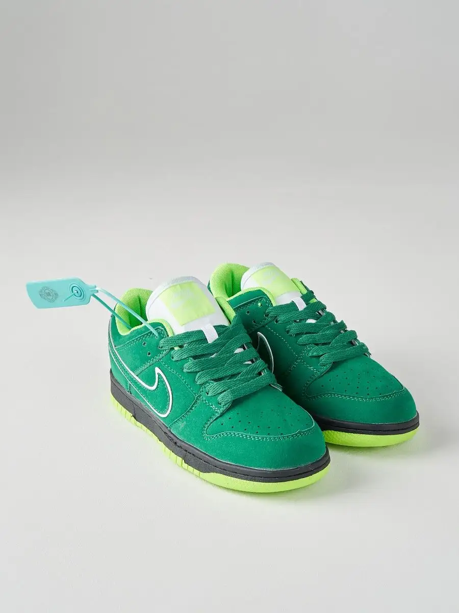 Nike dunk outlet 510