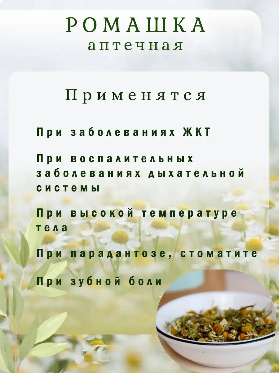 Ромашка аптечная 50гр сбор 2023г HERBAL Tea 165703418 купить за 247 ₽ в  интернет-магазине Wildberries