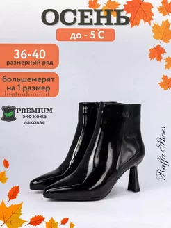 Ботильоны демисезонные на каблуке Raffa Shoes 165724472 купить за 2 368 ₽ в интернет-магазине Wildberries