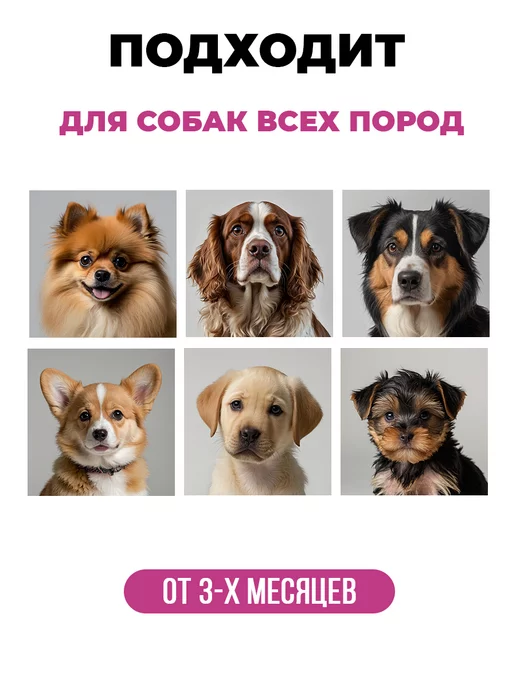 Spets Комплект Шампунь для собак, кондиционер, Спрей от колтунов, 500 мл, фото 5