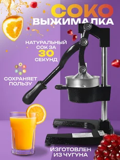 Соковыжималка ручная для цитрусовых фруктов и овощей Carvel 165760231 купить за 3 202 ₽ в интернет-магазине Wildberries