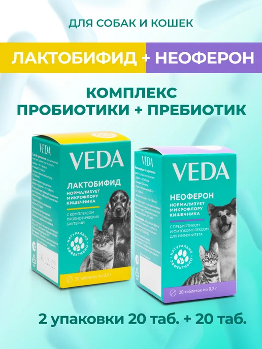 VEDA ЛАКТОБИФИД 20 таб. + НЕОФЕРОН 20 таб. (пробиотик+пребиотик)