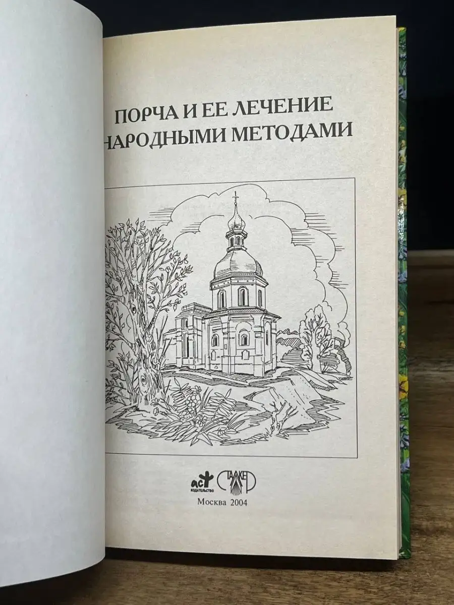 Порча и ее лечение народными методами Сталкер 165795773 купить в  интернет-магазине Wildberries