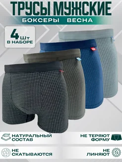 Трусы боксеры семейные набор 4 шт хлопок EBRO&TSIS 165824344 купить за 828 ₽ в интернет-магазине Wildberries