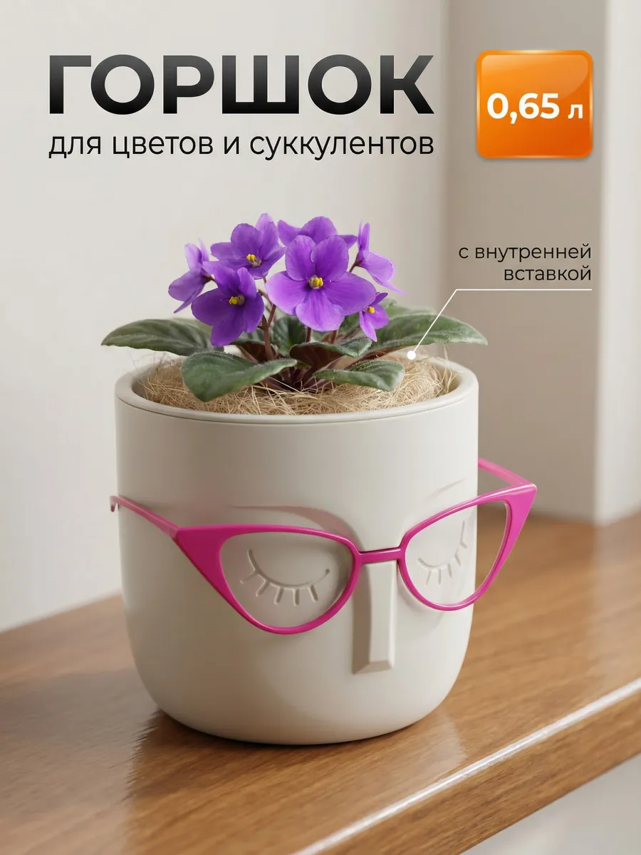 Кашпо для суккулентов 0,65л со вставкой