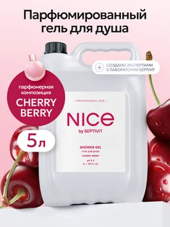 Гель для душа NICE женский 5 литров NICE by Septivit 165839826 купить за 670 ₽ в интернет-магазине Wildberries