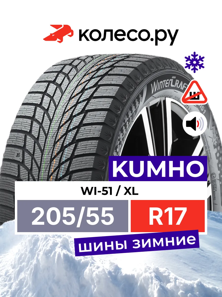 WI51 R17 205/55 95T