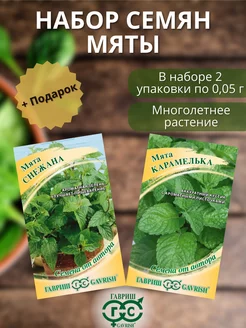 Семена мяты Гавриш 165851868 купить за 136 ₽ в интернет-магазине Wildberries