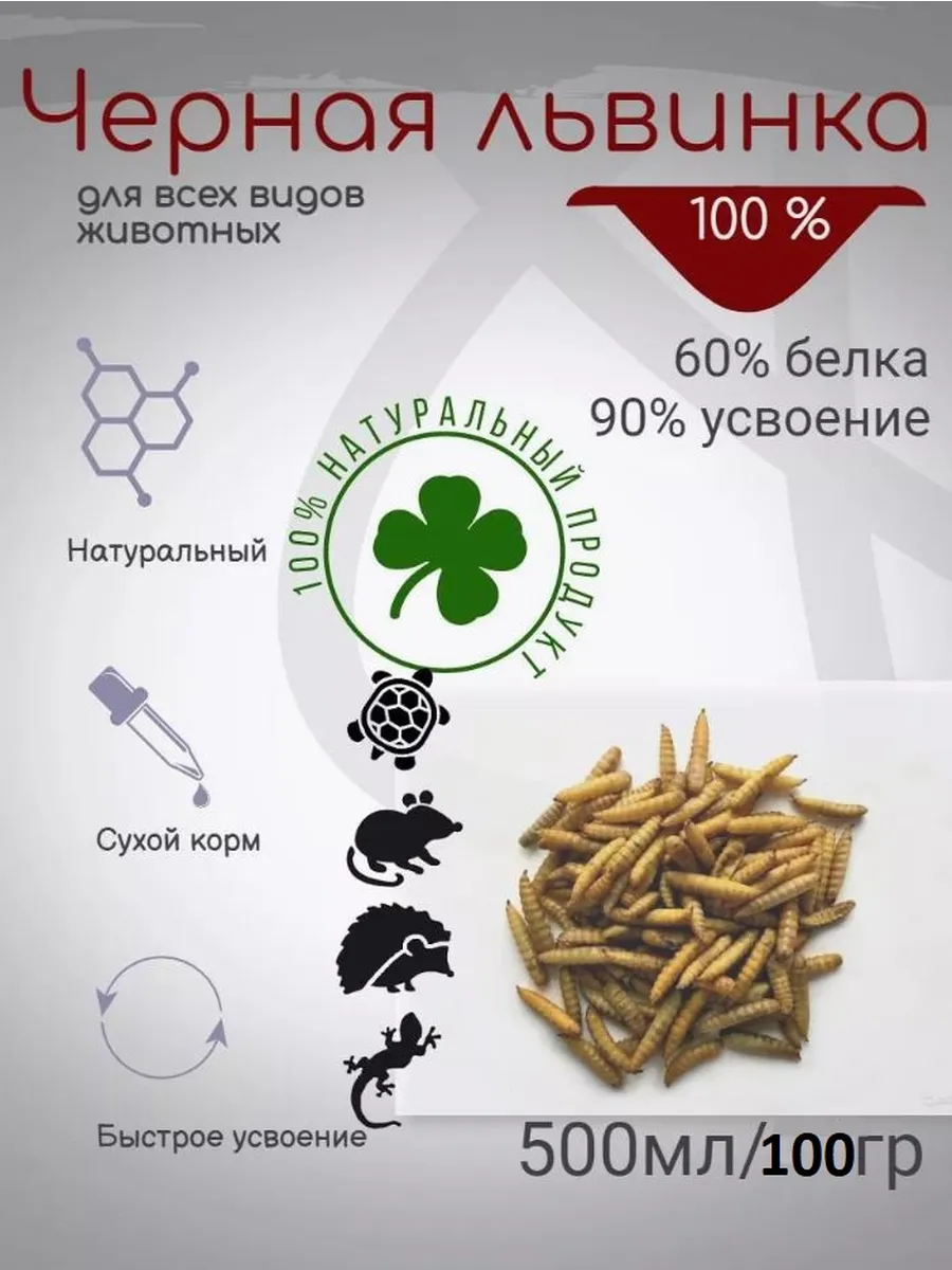 Черная львинка корм...