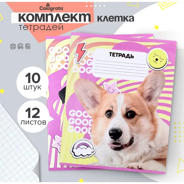 Набор общих тетрадей 12 листов