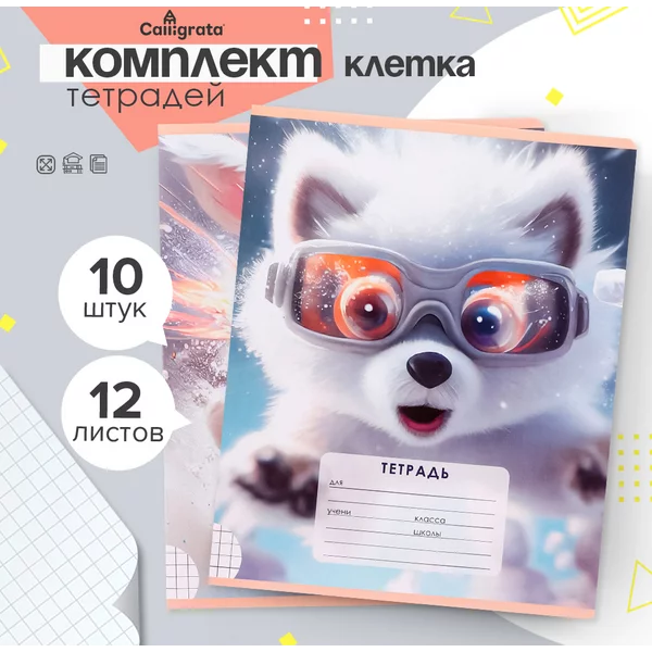 Тетради для учебы, 10 штук, 12 листов в клетку