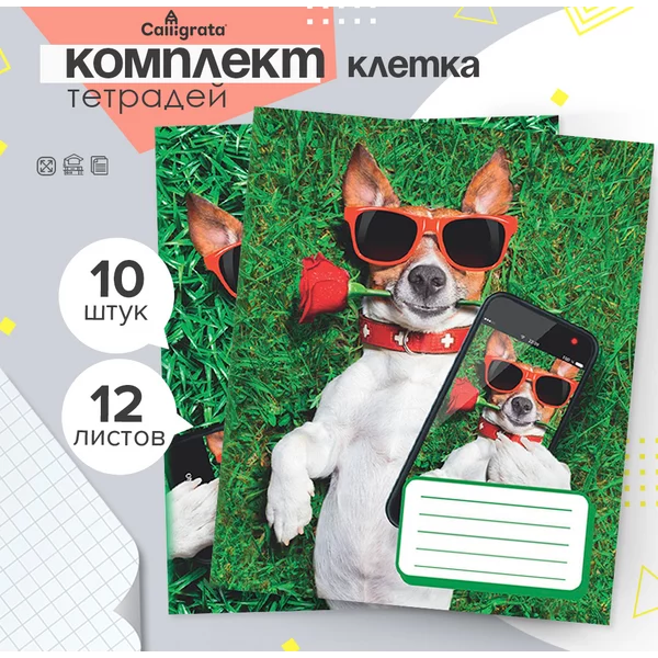 Набор общих тетрадей 12 листов