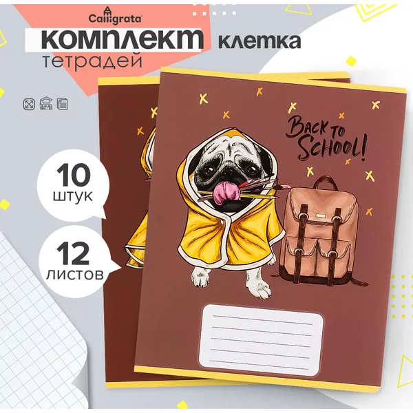 Тетради для школы, 10 штук, 12 листов в клетку