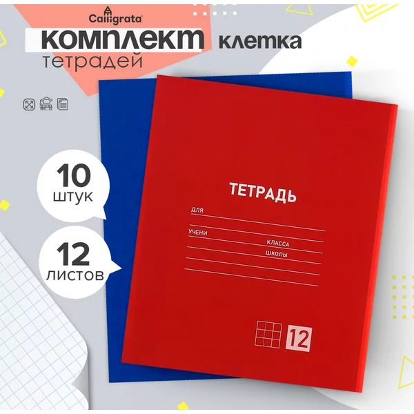 Тетради для школы, 10 штук, 12 листов в клетку