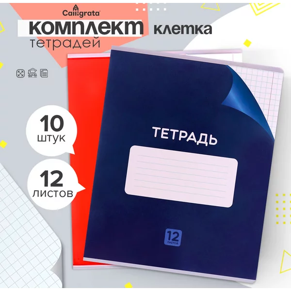 Тетради школьные в клетку 12л/10 шт