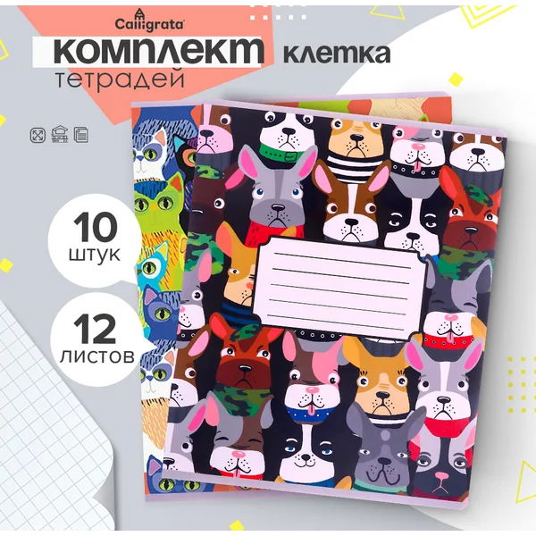 Тетради в школу, 10 штук, 12 листов в клетку