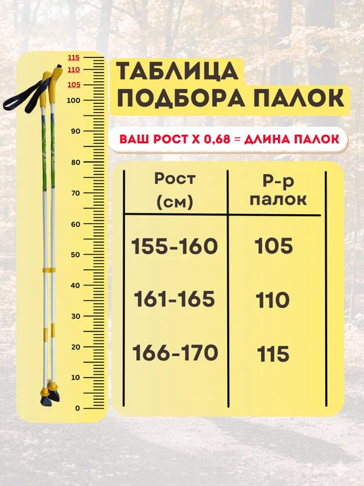 Tourist Палки для скандинавской ходьбы, 2 шт, 2 шт, фото 2
