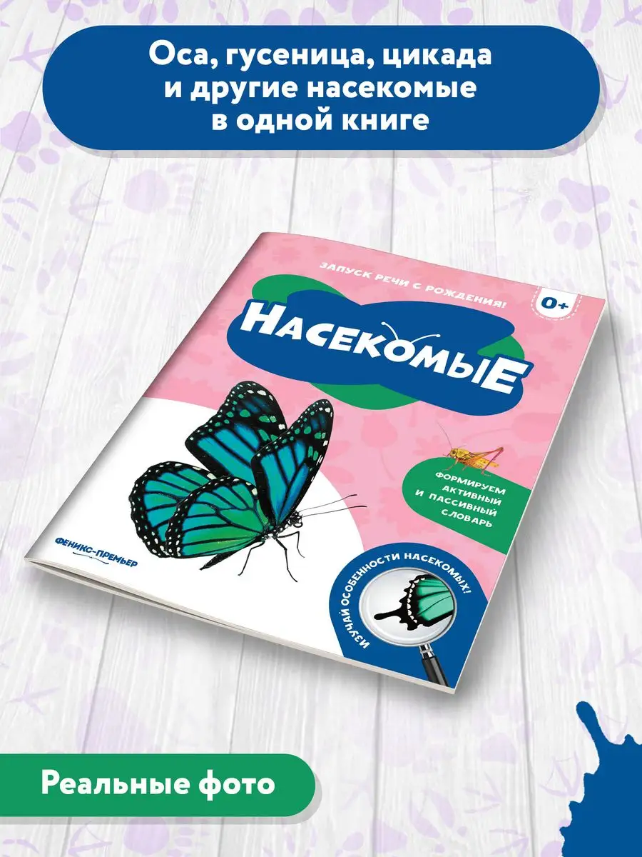 Насекомые 0+ : Первая книжка малыша Феникс-Премьер 165935740 купить за 119  ₽ в интернет-магазине Wildberries