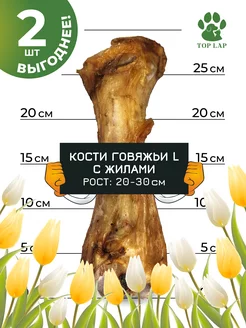 Кость лакомство для собак с жилами и хрящами Top Lap 165940856 купить за 562 ₽ в интернет-магазине Wildberries