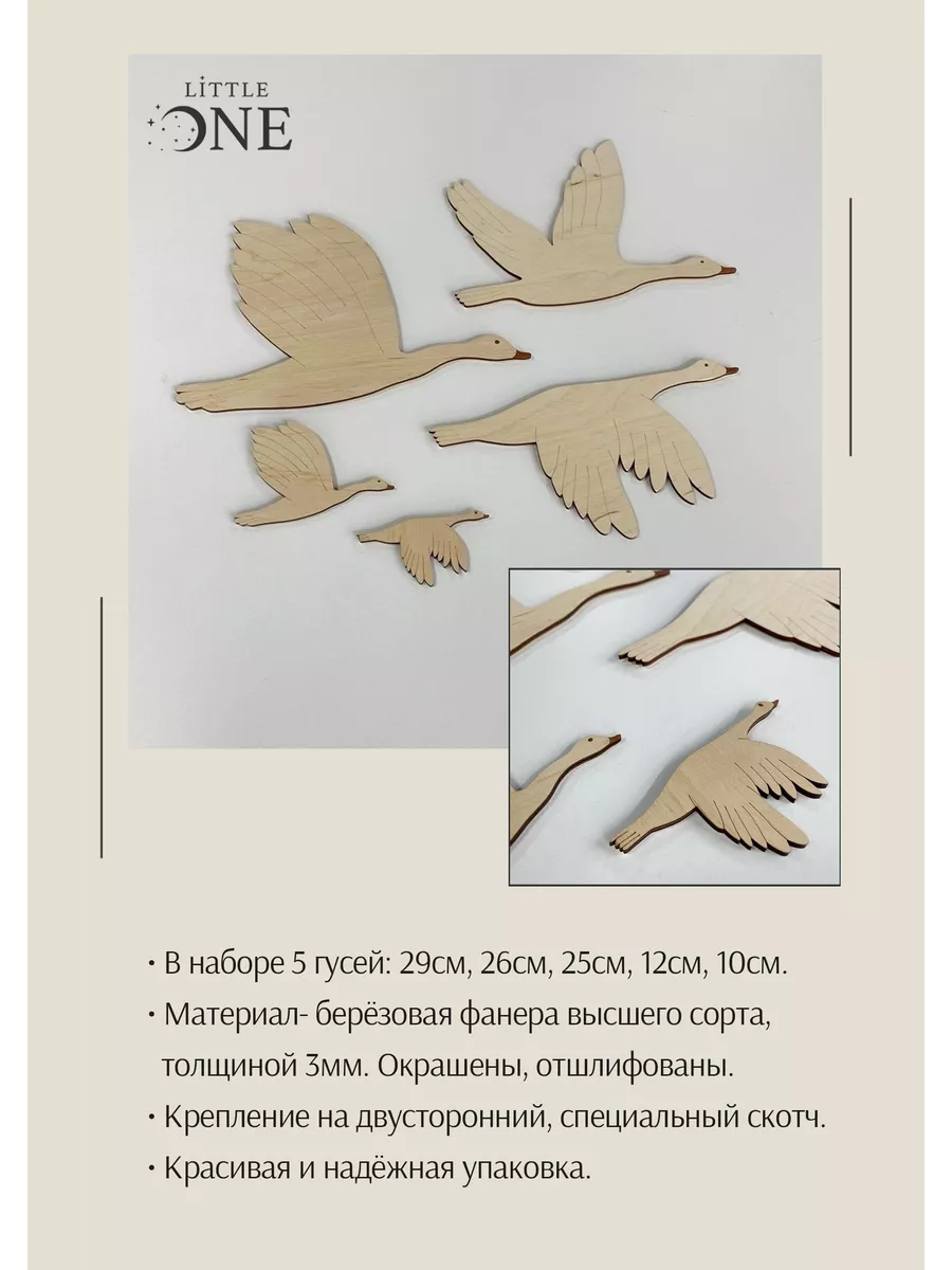 Венгерские гуси от А до Я – описание, фото и содержание в домашних условиях