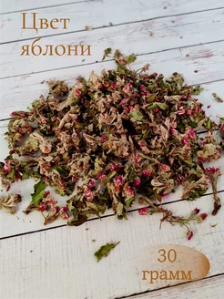 Цвет яблони Petedge 166121021 купить за 290 ₽ в интернет-магазине Wildberries