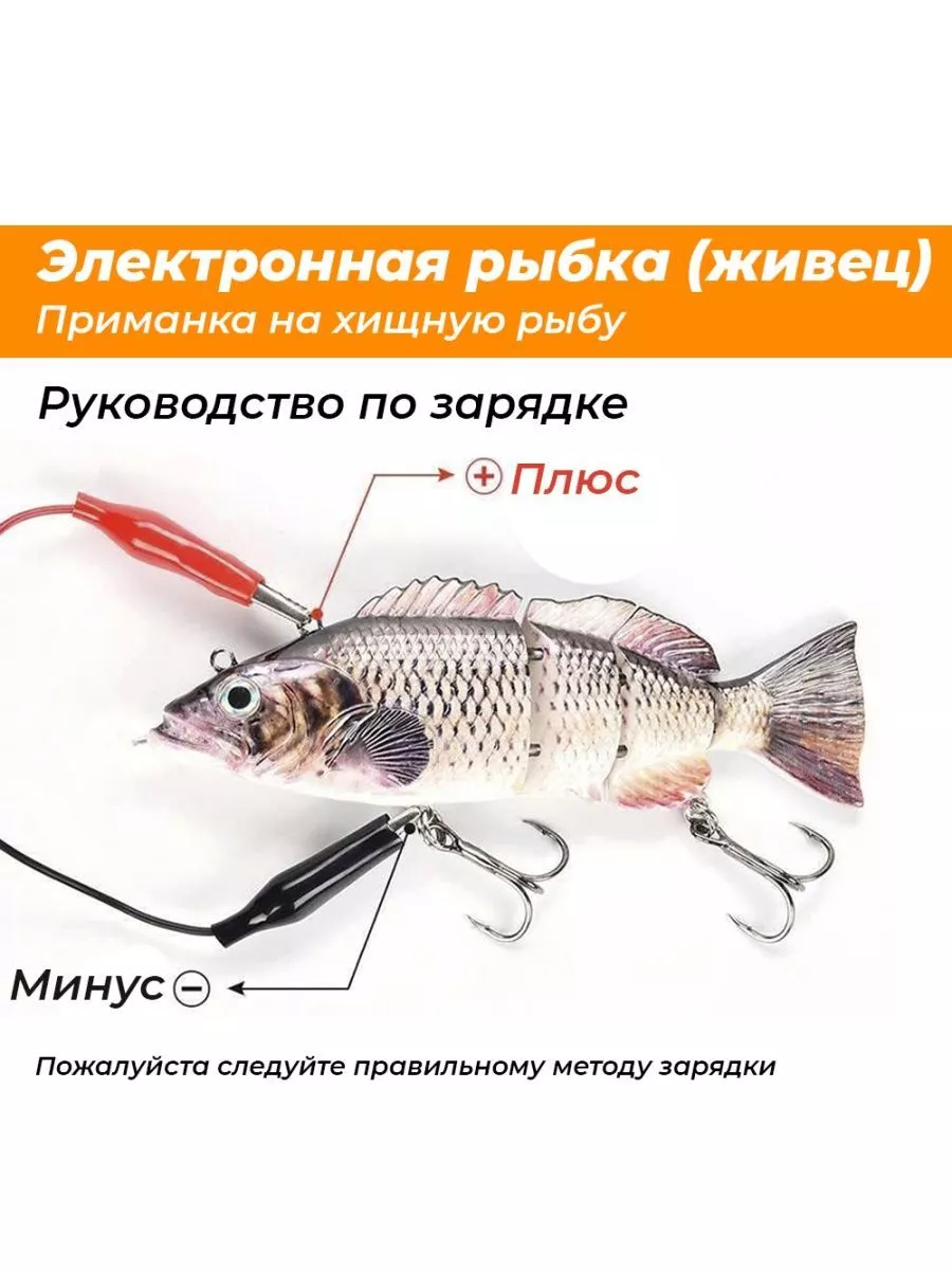 Электронная приманка для рыб