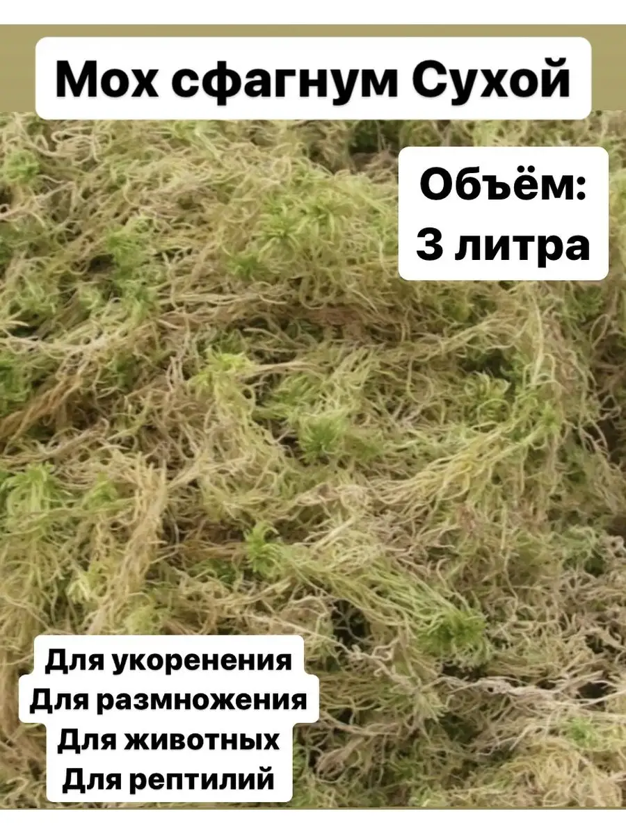 Мох сфагнум 3 литра сухой для орхидей, террариума 3 л. BAMBALBY 166184963  купить в интернет-магазине Wildberries