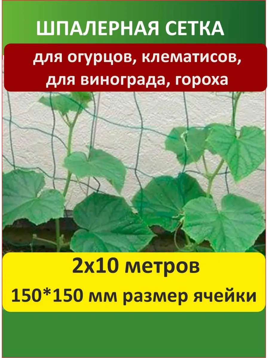 Шпалерная сетка для огурцов Протэкт 166197000 купить в интернет-магазине  Wildberries