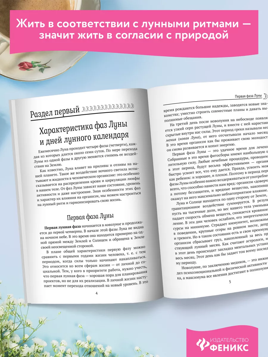 Лунный календарь на все случаи жизни 2024 год Издательство Феникс 166205284  купить в интернет-магазине Wildberries