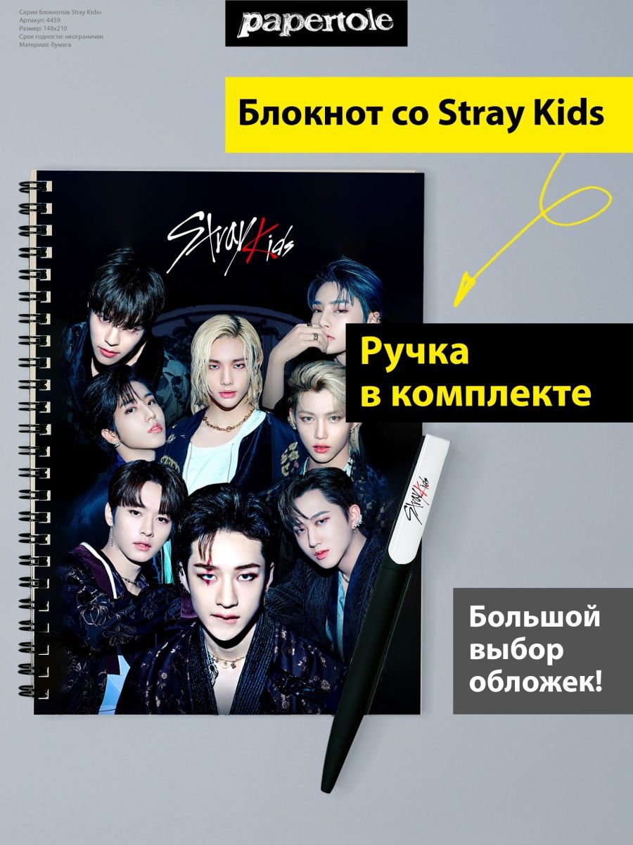 Фф про stray kids