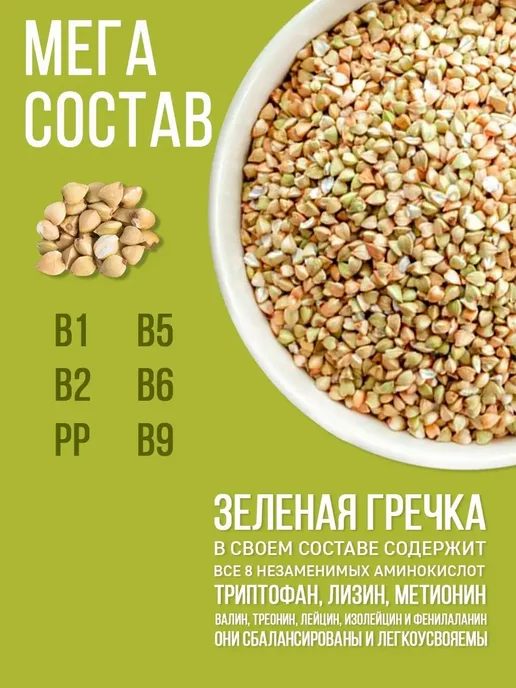 Сашина каша Гречка зеленая не пропаренная 3 кг, 3 кг, фото 6