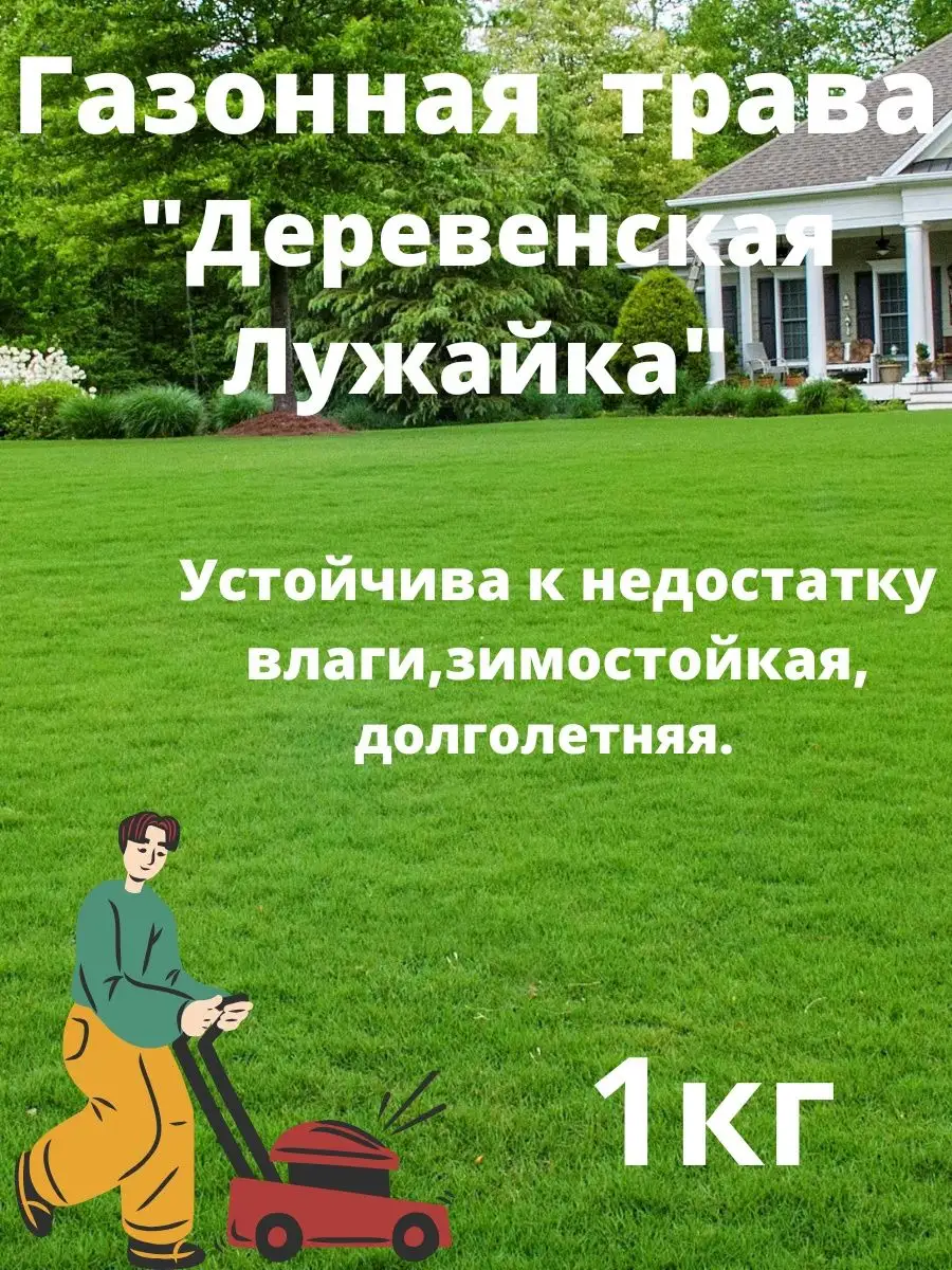 Семена газона "Деревенская Лужайка" 1 кг