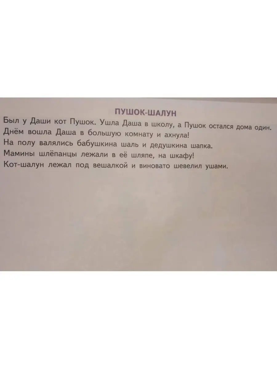 Фонетические рассказы с картинками Шипящие звуки Литур 166275052 купить в  интернет-магазине Wildberries