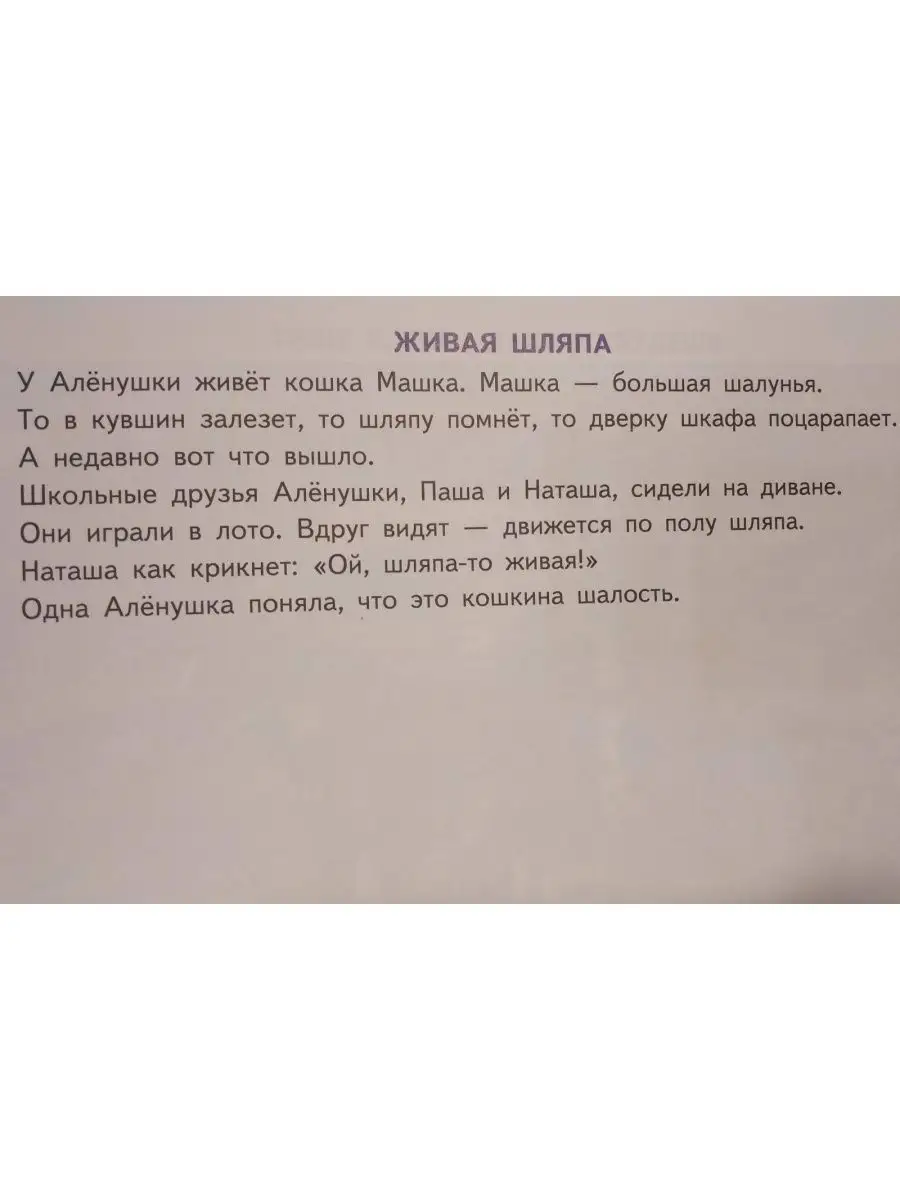 Фонетические рассказы с картинками Шипящие звуки Литур 166275052 купить в  интернет-магазине Wildberries