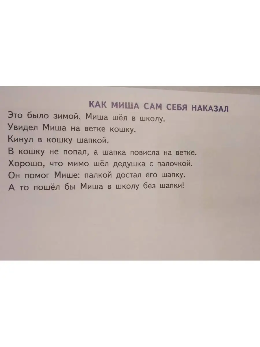 Фонетические рассказы с картинками Шипящие звуки Литур 166275052 купить за  621 ₽ в интернет-магазине Wildberries