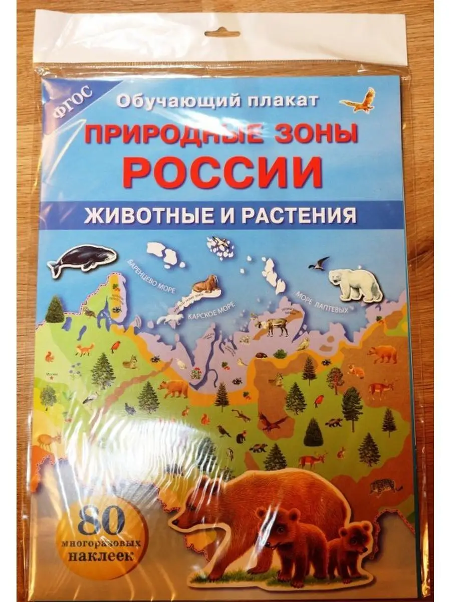 Природные зоны России Животные и растения Стрекоза 166275190 купить в  интернет-магазине Wildberries