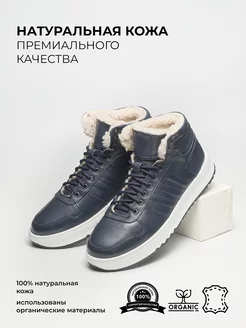 Кроссовки зимние кожаные DStep 166276470 купить за 4 922 ₽ в интернет-магазине Wildberries