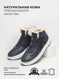 Кроссовки зимние кожаные DStep 166277398 купить за 4 511 ₽ в интернет-магазине Wildberries