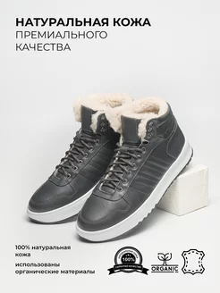 Кроссовки зимние кожаные DStep 166282218 купить за 4 511 ₽ в интернет-магазине Wildberries