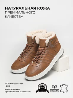 Кроссовки зимние кожаные DStep 166284518 купить за 4 922 ₽ в интернет-магазине Wildberries