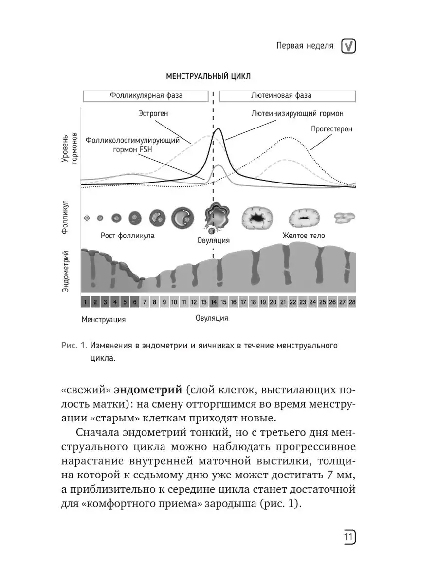 Календарь беременности неделя за неделей. Большое Издательство АСТ  166285343 купить за 558 ₽ в интернет-магазине Wildberries