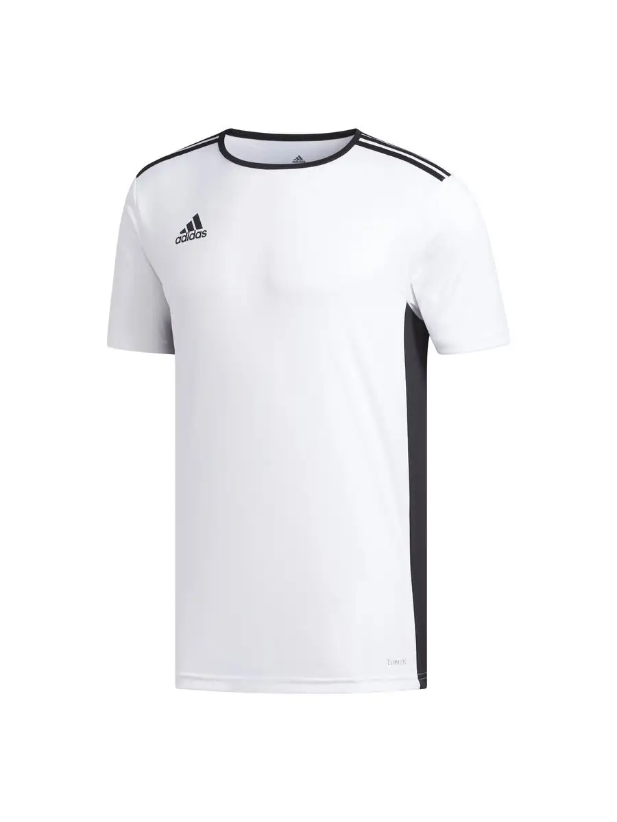 Adidas entrada jersey on sale