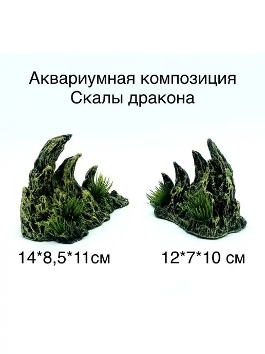 Takifugu Композиция Скалы дракона, вариант