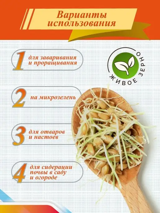 Чуваши Хлеб Пшеница для проращивания и отваров, 3 кг, 1 кг, фото 2