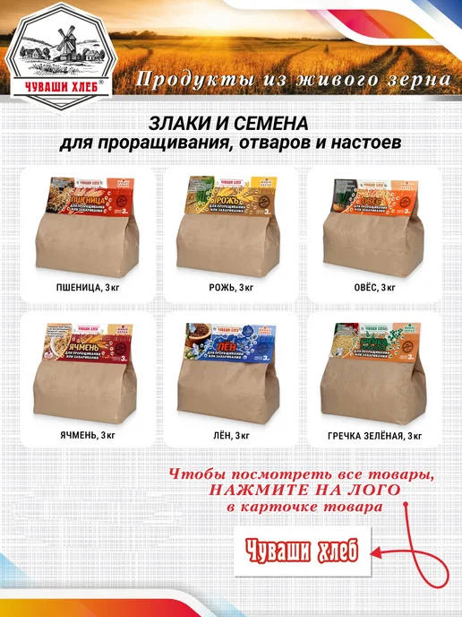Чуваши Хлеб Пшеница для проращивания и отваров, 3 кг, 1 кг, фото 3