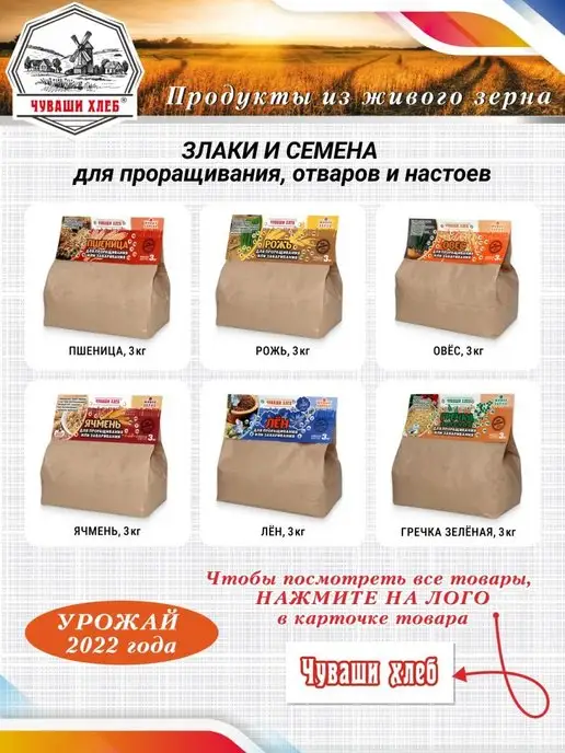 Чуваши Хлеб Пшеница для проращивания, микрозелень 6 кг, 6 кг, фото 3