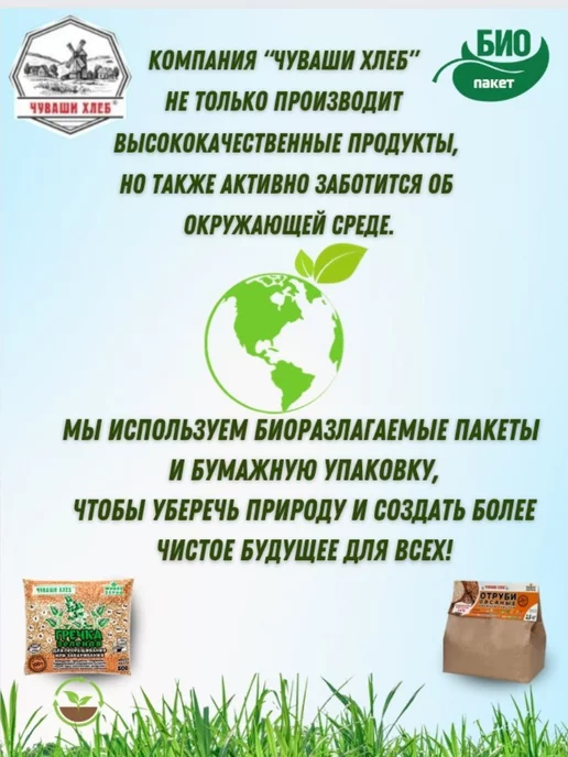 Чуваши Хлеб Пшеница для проращивания, микрозелень 6 кг, 6 кг, фото 4