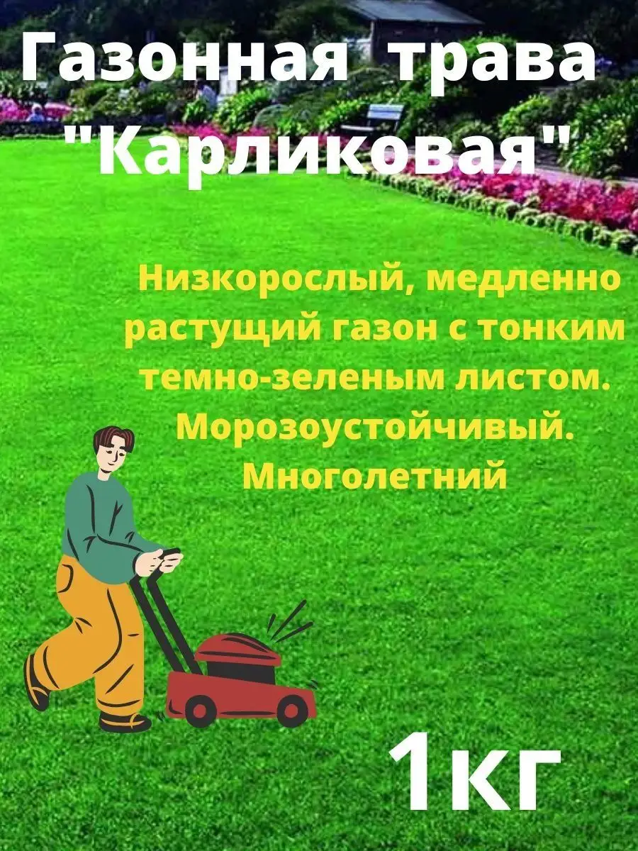 Газонная Трава "Карликовая" 1кг
